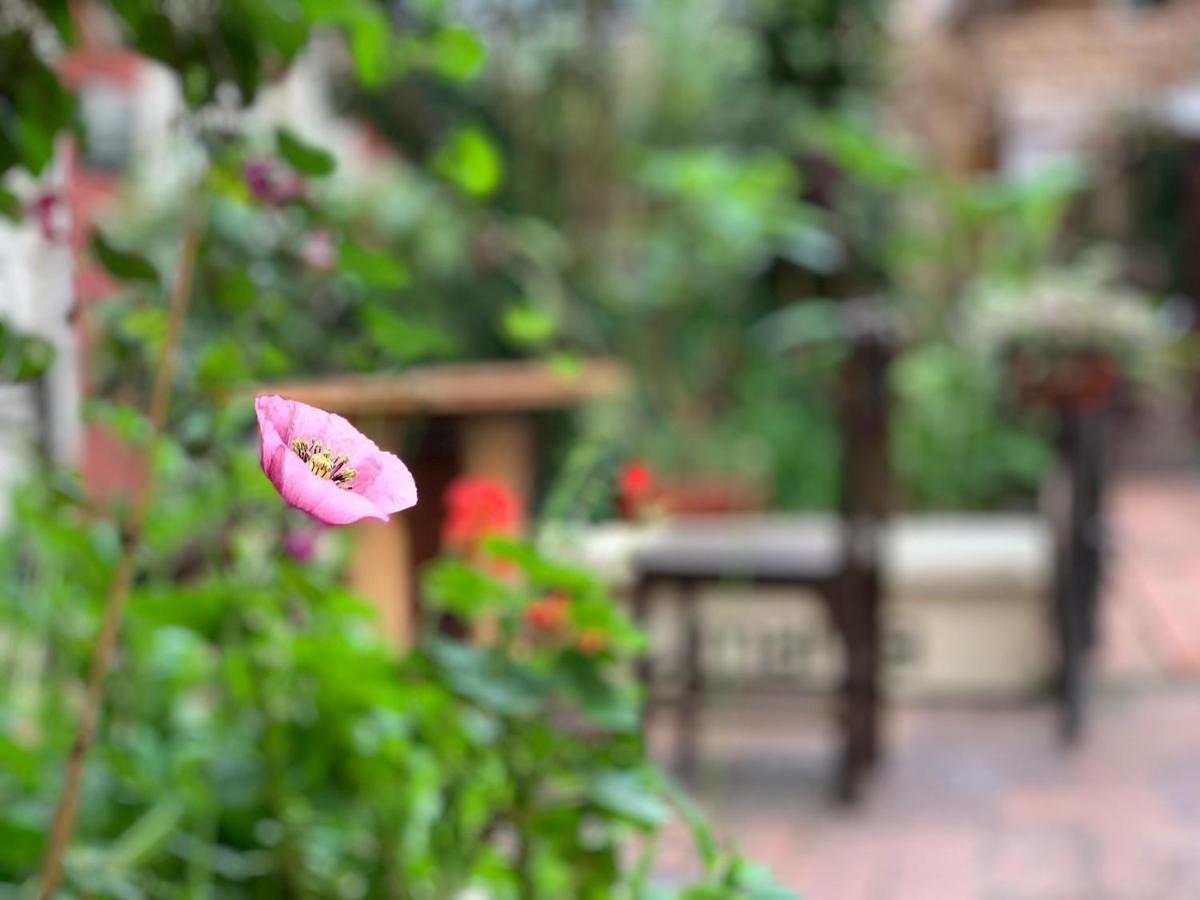 Hostal Yakumama Cuenca Exterior photo