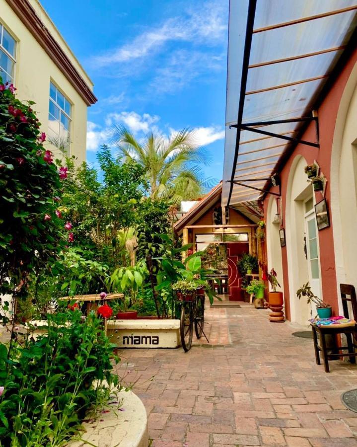 Hostal Yakumama Cuenca Exterior photo